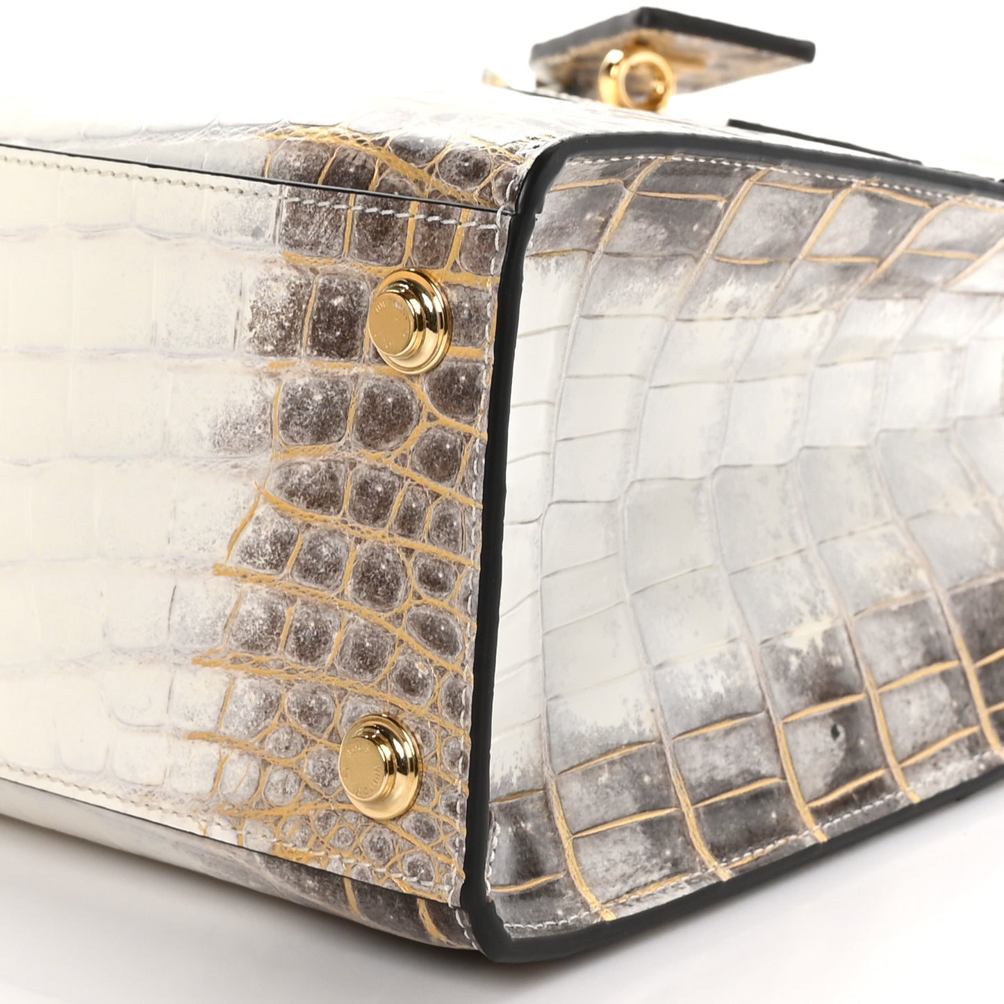 LOUIS VUITTON Himalaya Crocodile City Steamer PM