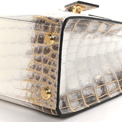Louis Vuitton LOUIS VUITTON Himalaya Crocodile City Steamer PM 10 of 10