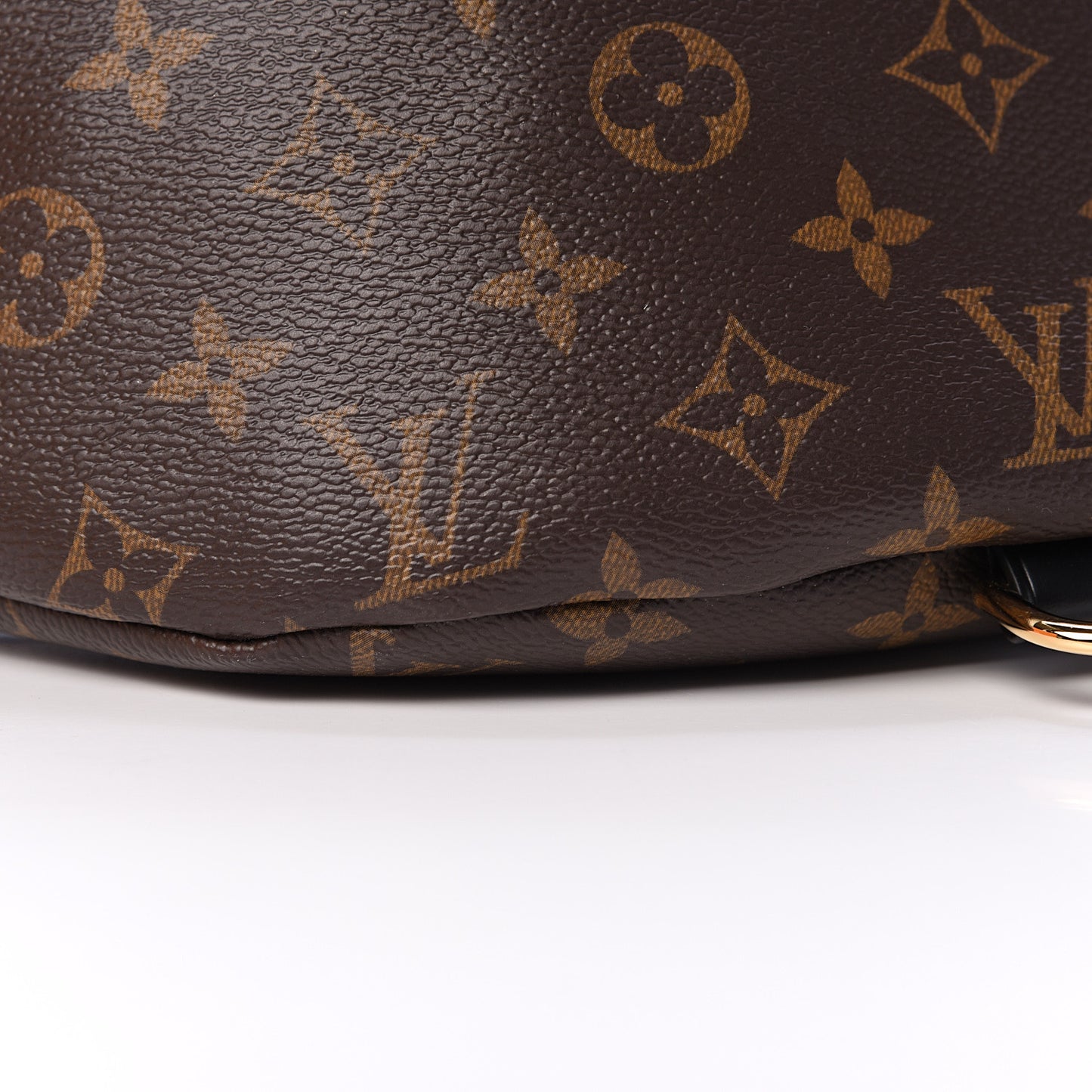 Monogram My LV World Tour Bumbag