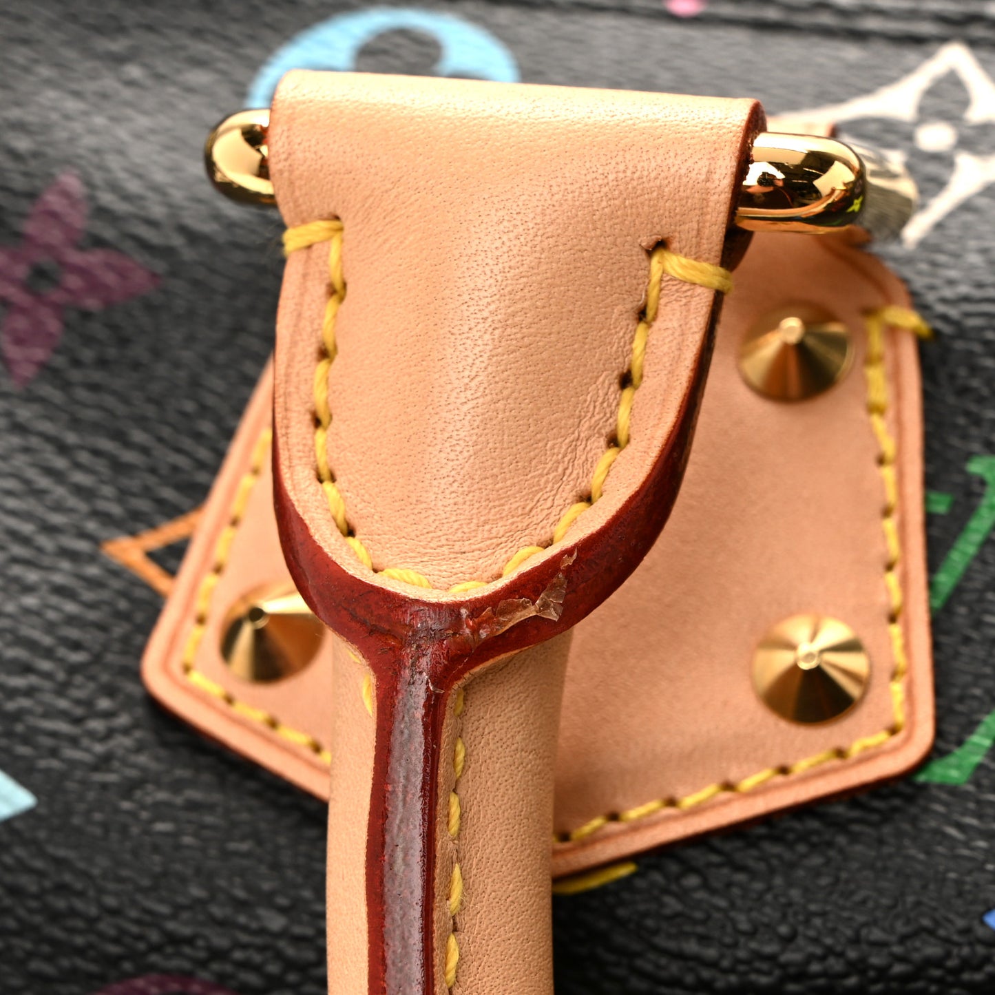 Monogram Multicolor Speedy 30 Black