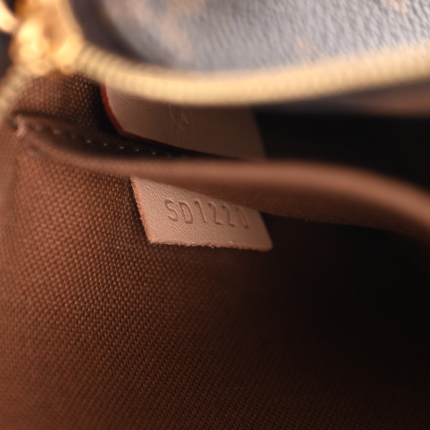 Monogram Multi Pochette Accessories Kaki