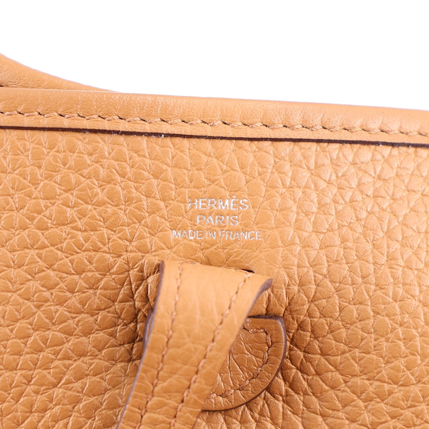 Taurillon Clemence Evelyne TPM Biscuit