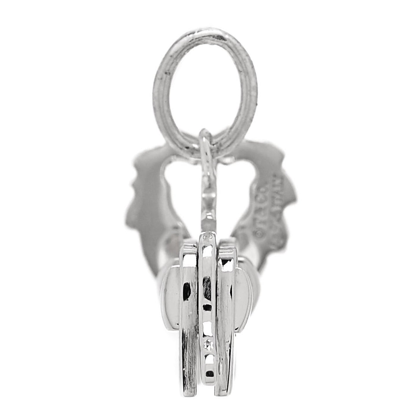 Sterling Silver Save the Wild Lion Charm