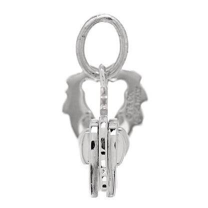 Tiffany Sterling Silver Save the Wild Lion Charm 3 of 5