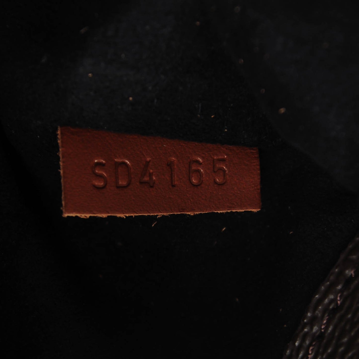 Monogram Pallas Black