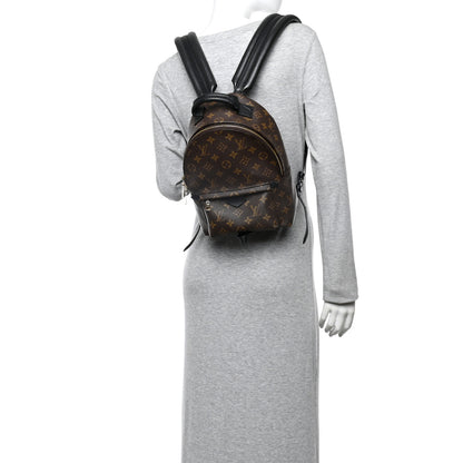 Louis Vuitton Monogram Palm Springs Backpack PM 2 of 13