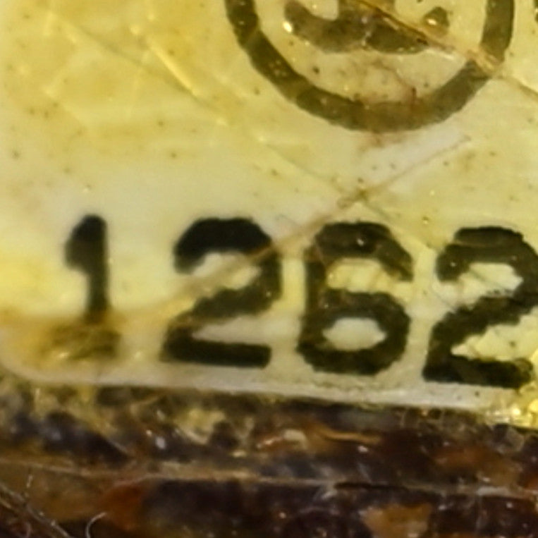 Washed Lambskin Quilted Maxi Single Flap Black