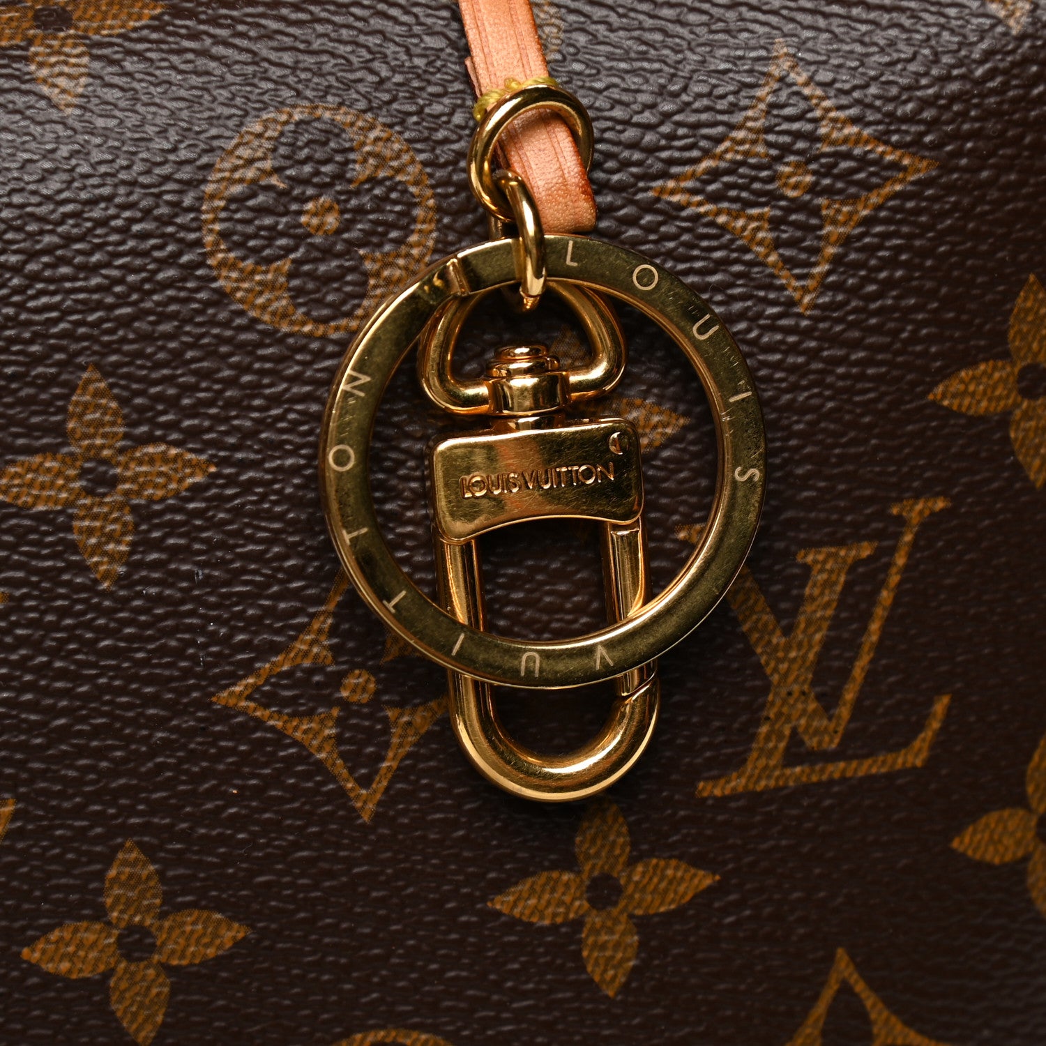 Louis Vuitton Monogram Delightful MM Pivoine 6 of 6