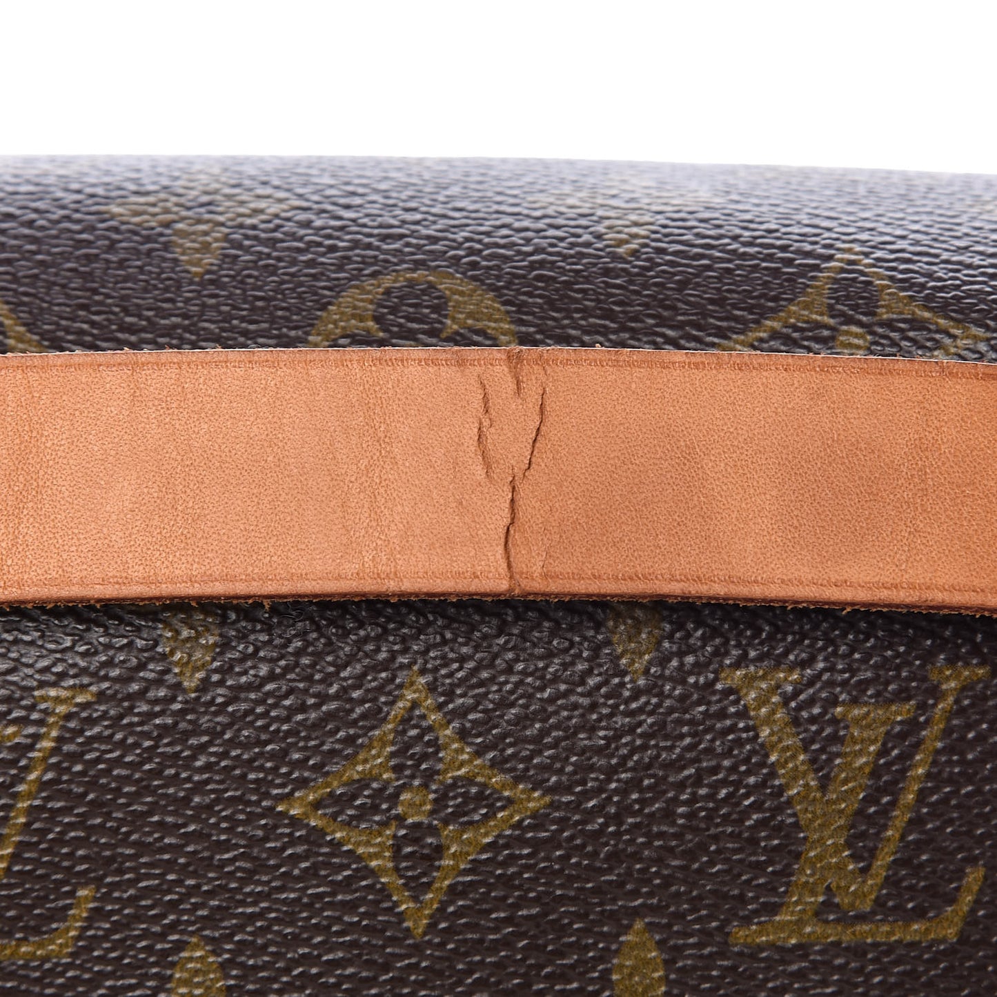 Monogram Cartouchiere 22