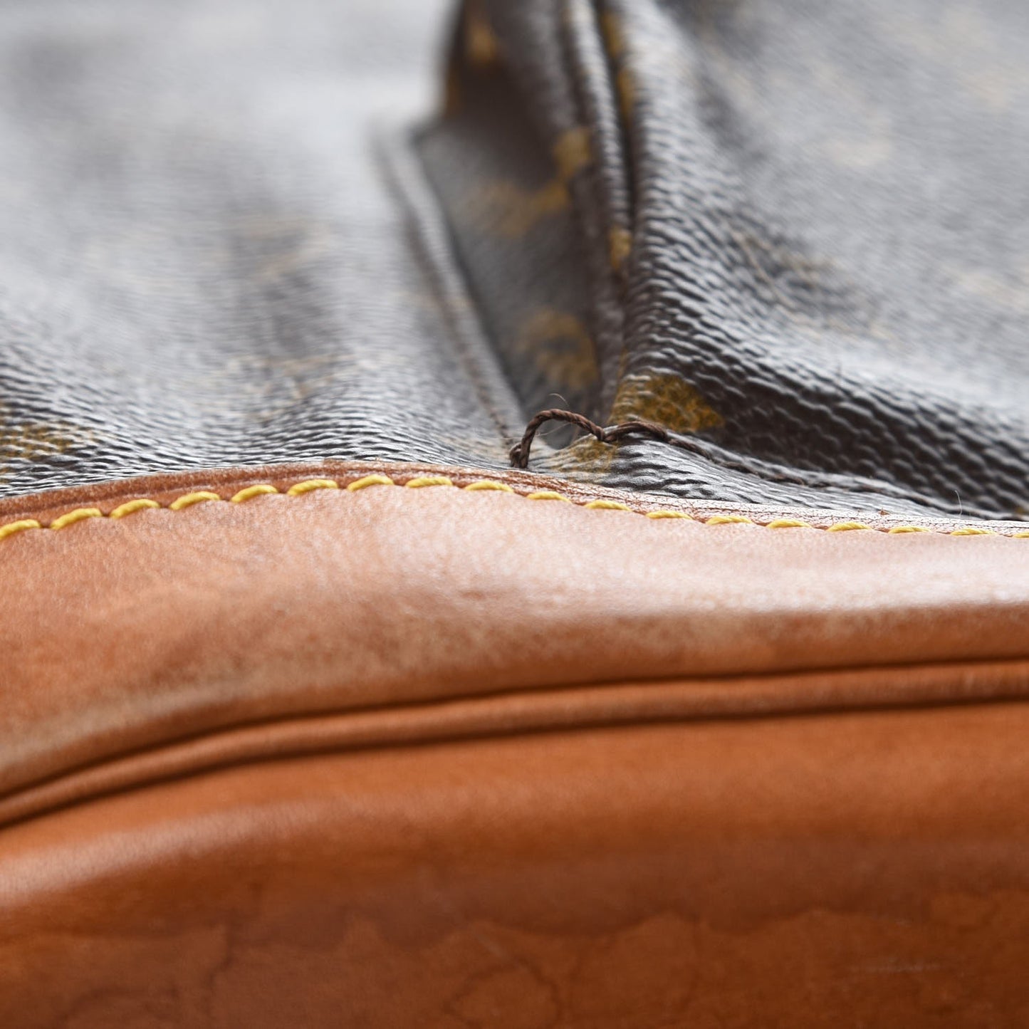 Monogram Montsouris GM Backpack