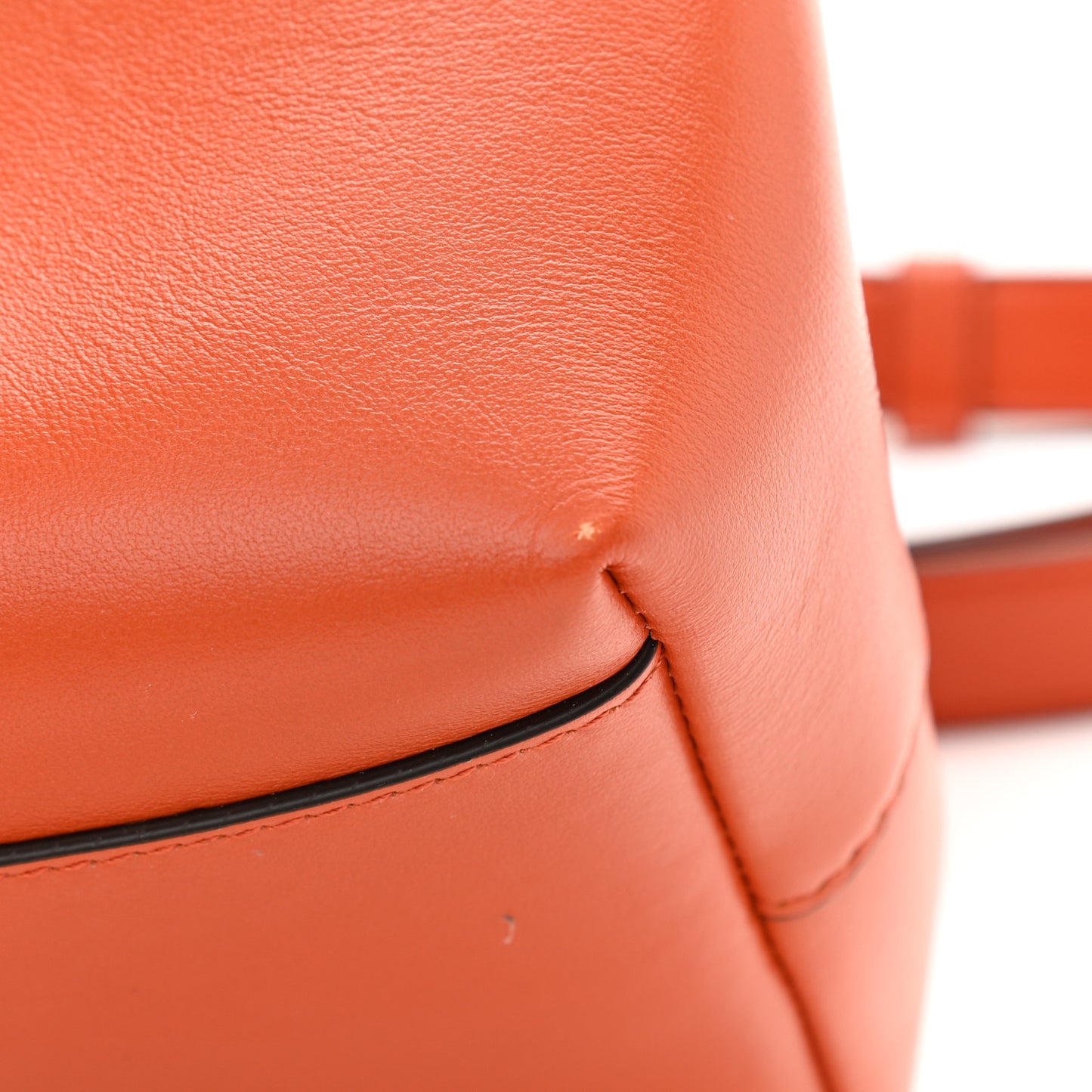 Grainy Goatskin Bon Bon Bucket Bag Orange