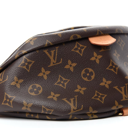 Louis Vuitton Monogram Bumbag 6 of 10