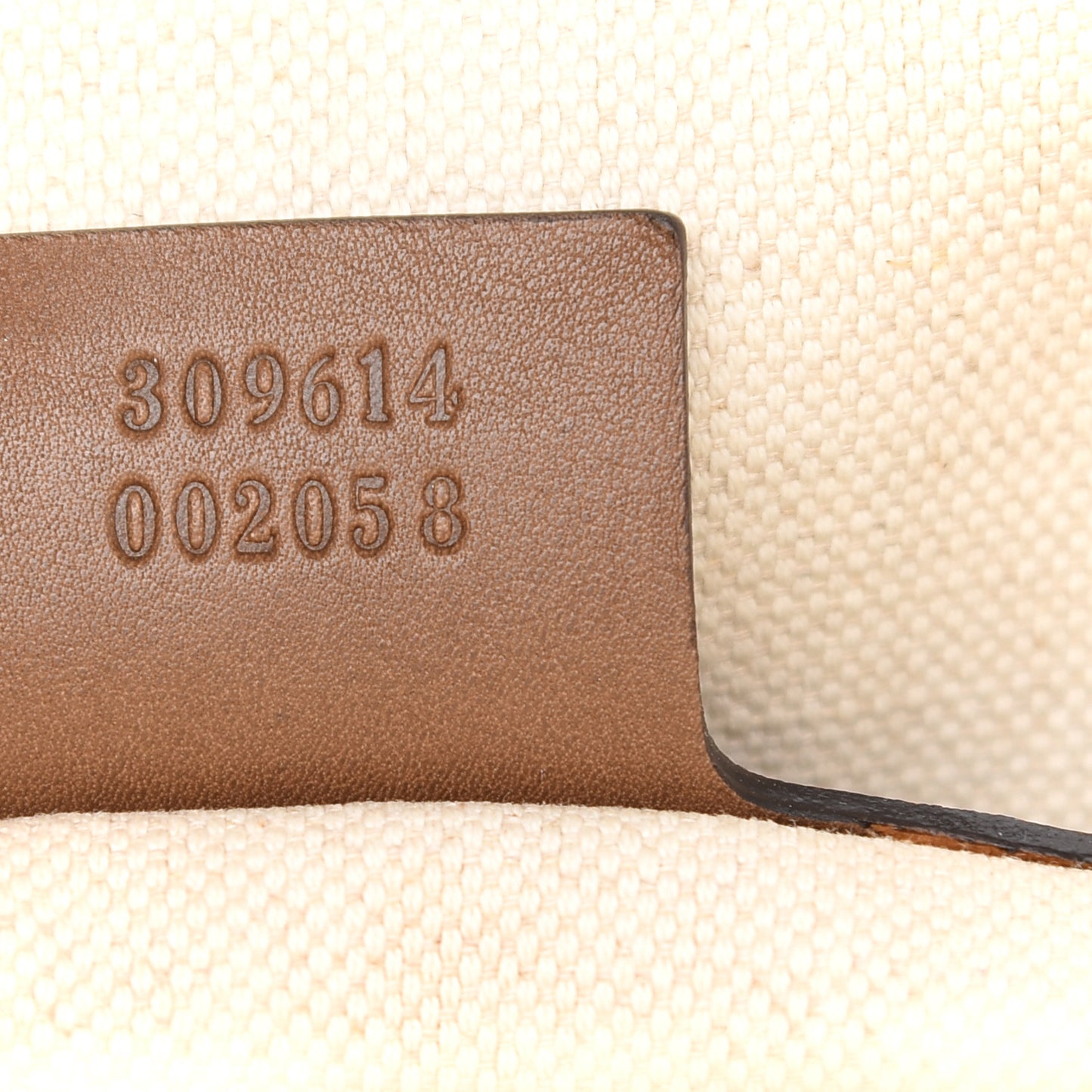 GG Supreme Monogram Medium Nice Top Handle Dome Bag Brown