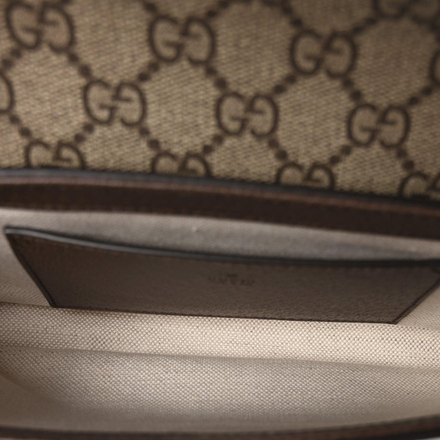 GG Supreme Monogram Textured Dollar Calfskin Web Mini Ophidia Envelope Shoulder Bag Beige Ebony New Acero