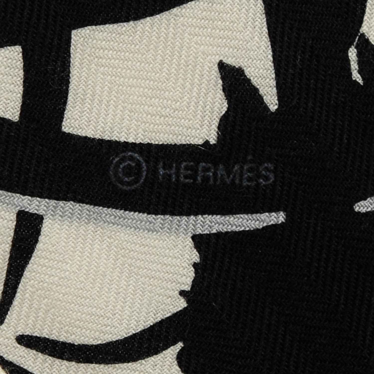 Hermes Cashmere Silk Tyger Tyger Shawl 140 5 of 6