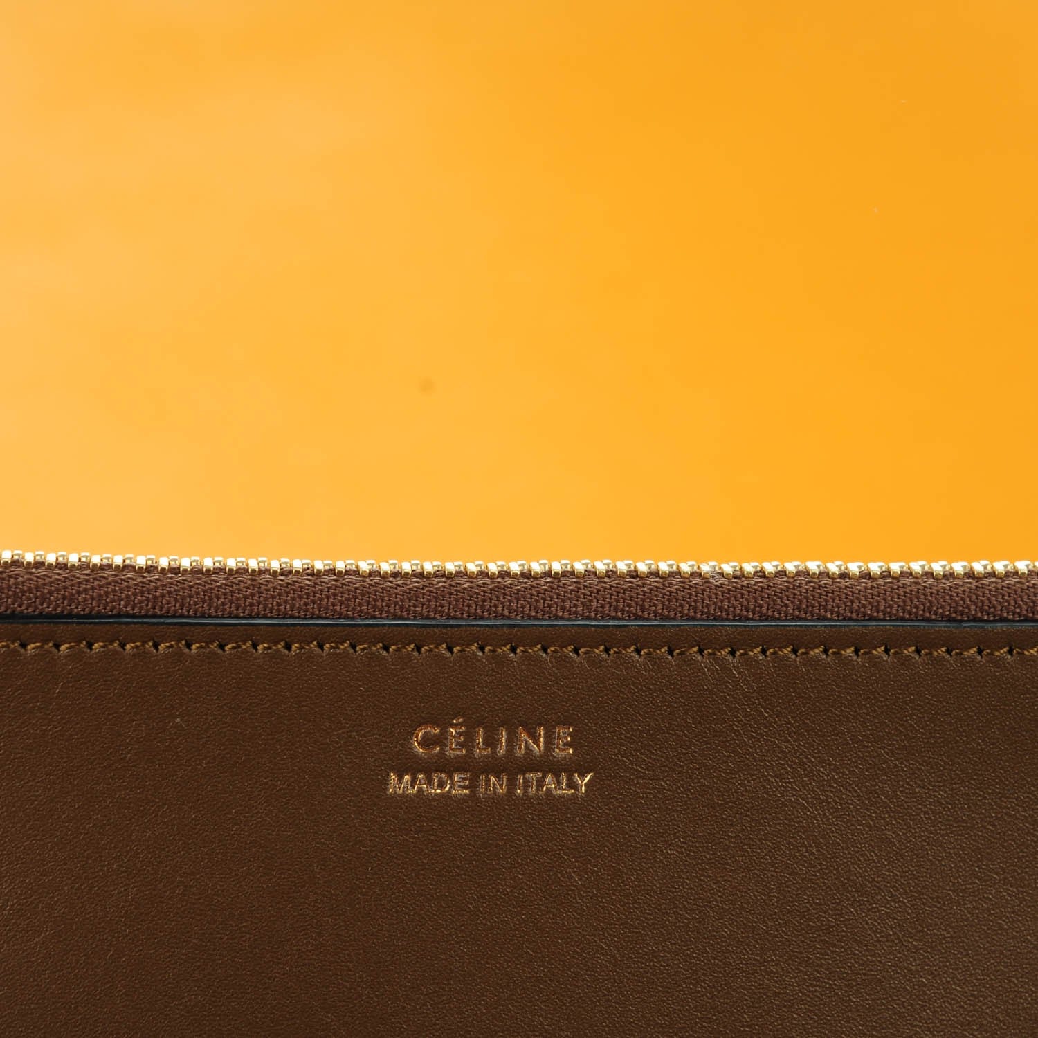 Celine Shiny Smooth Calfskin Small Twisted Cabas Moss Green Daffodil 8 of 8