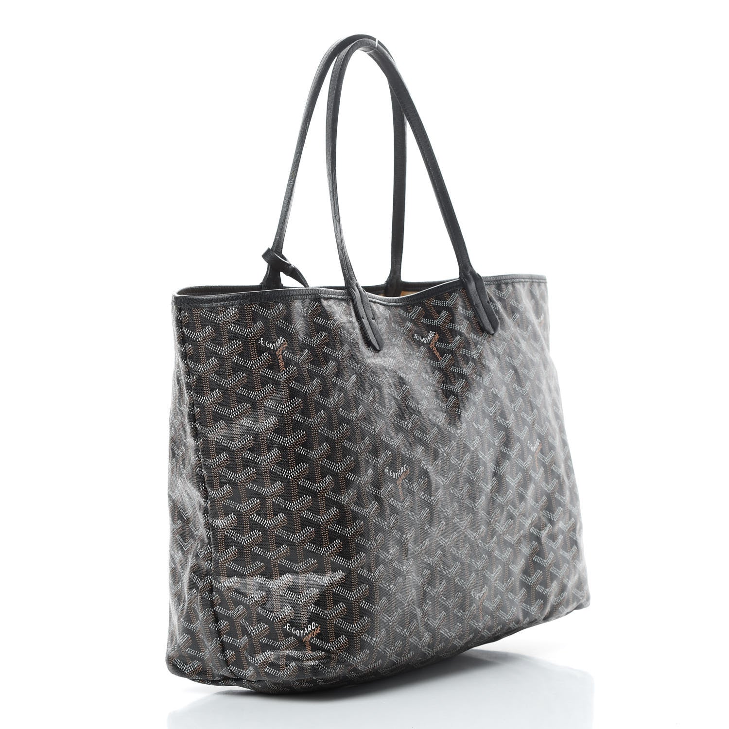 Goyard Goyardine Saint Louis PM Black 4 of 15