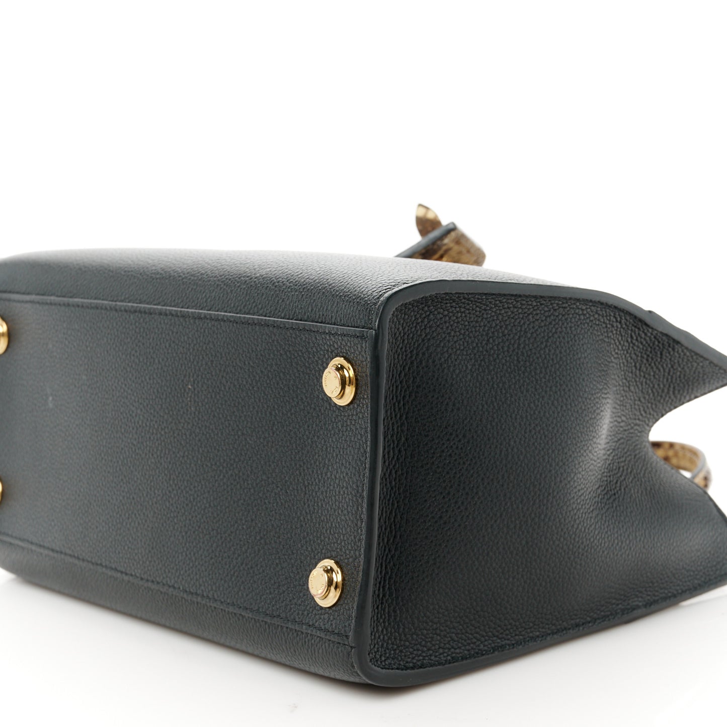 Taurillon Snakeskin City Steamer PM Black