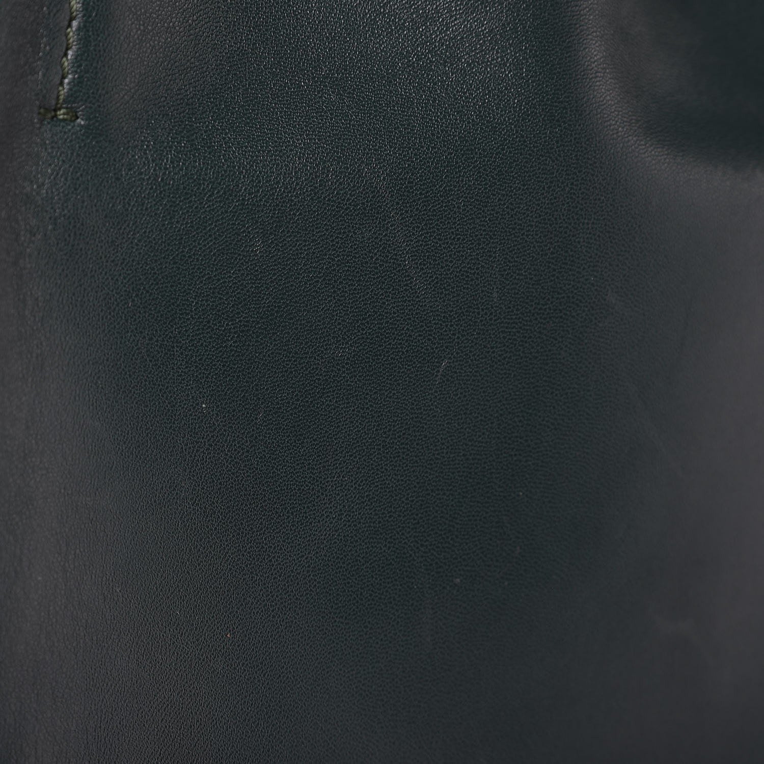 Celine Lambskin Horizontal Cabas Bottle Green 15 of 15