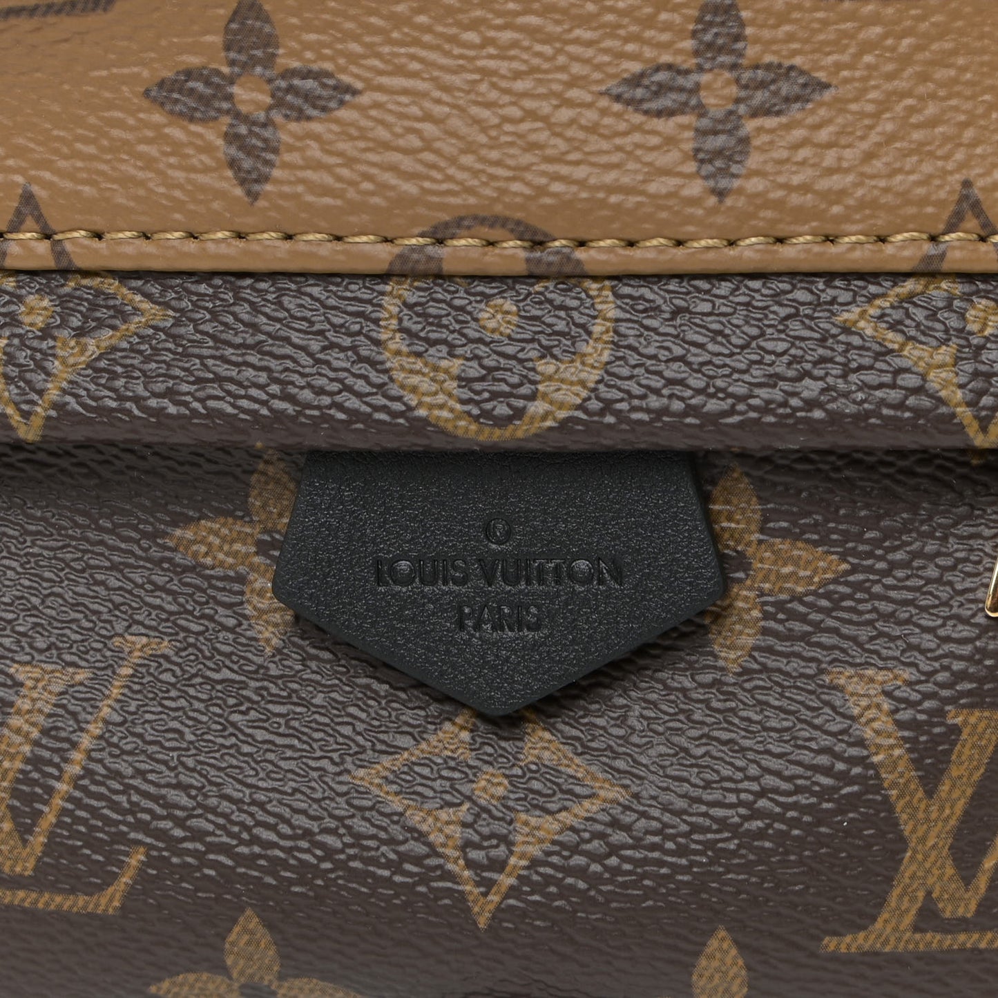 Reverse Monogram Palm Springs Backpack Mini