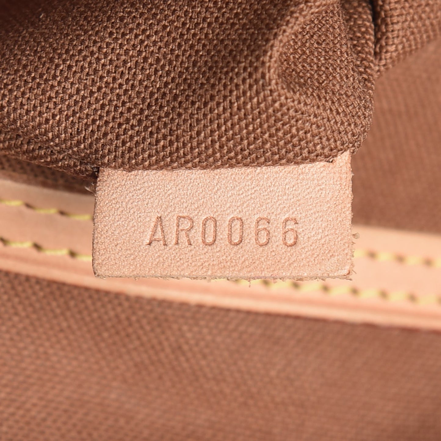 Monogram Cabas Mezzo