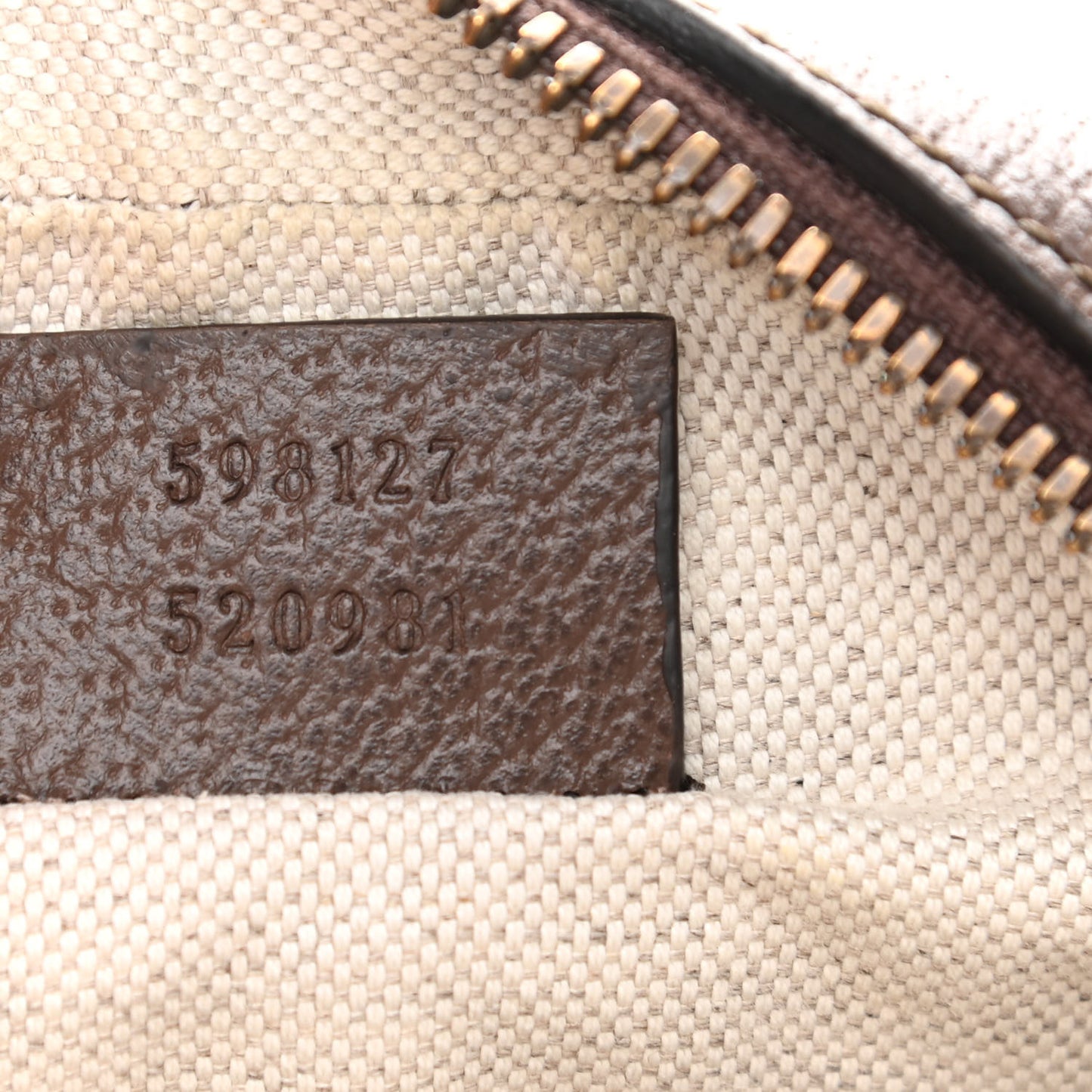 GG Supreme Monogram Web Mini Ophidia Messenger Brown
