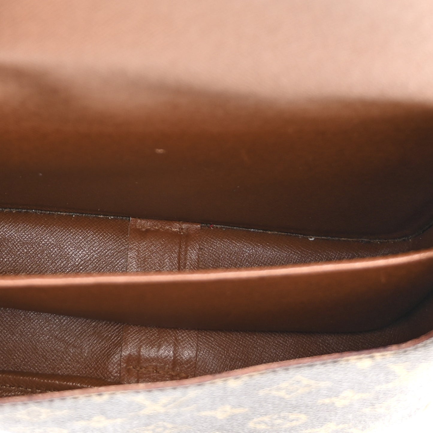 Monogram Cartouchiere 22