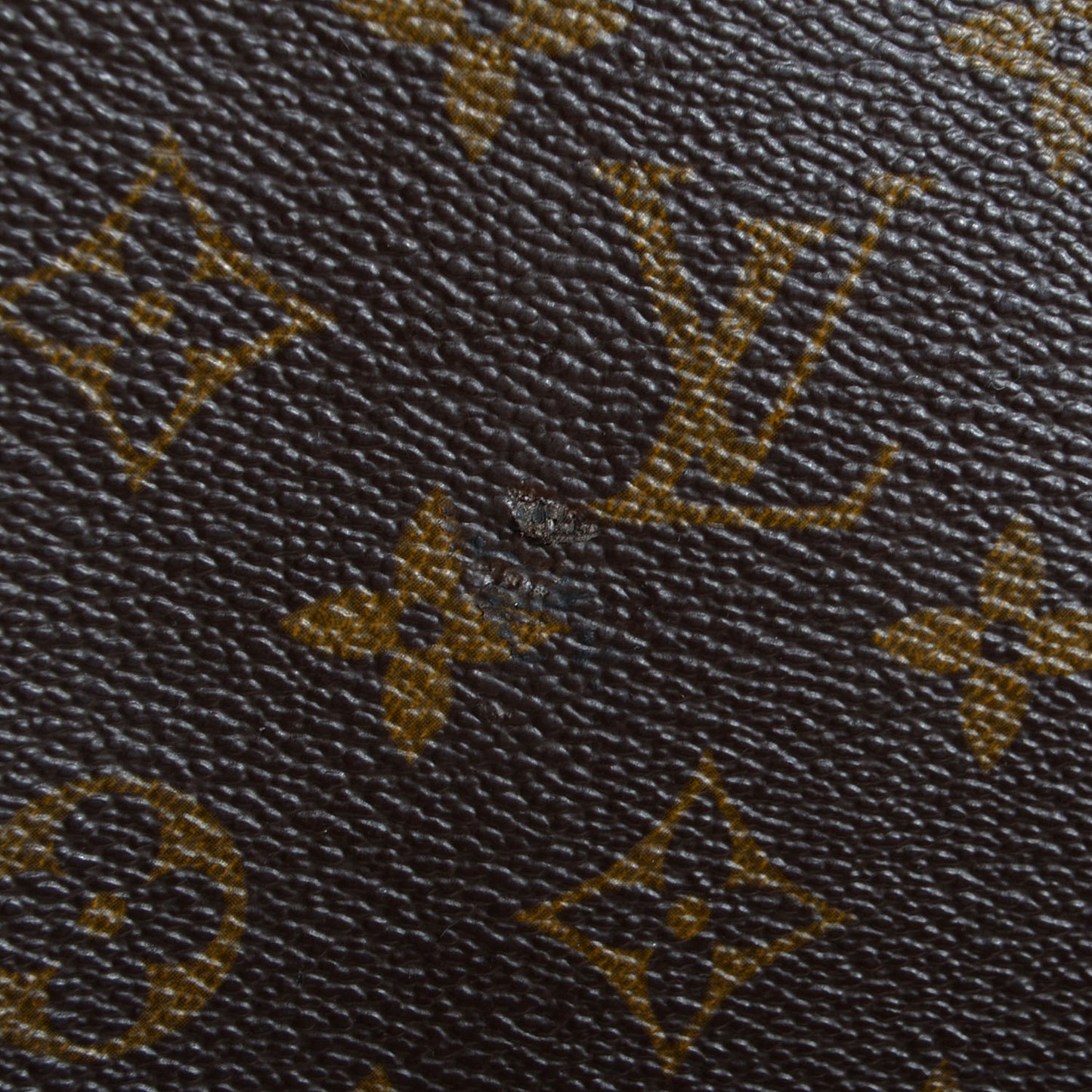Monogram Garment Bag