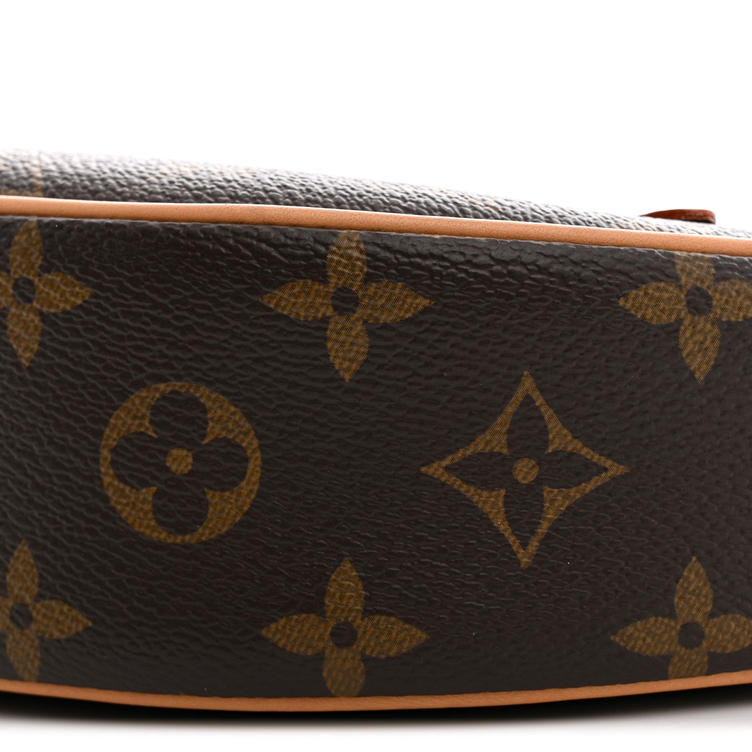Louis Vuitton Monogram Loop 9 of 9