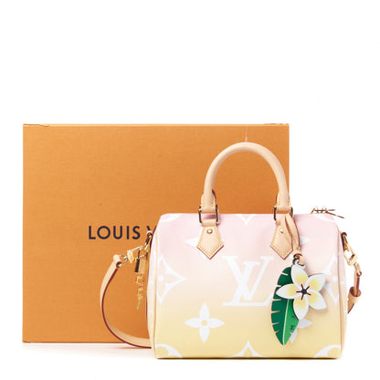 Louis Vuitton Monogram Giant By The Pool Speedy Bandouliere 25 Light Pink 9 of 9