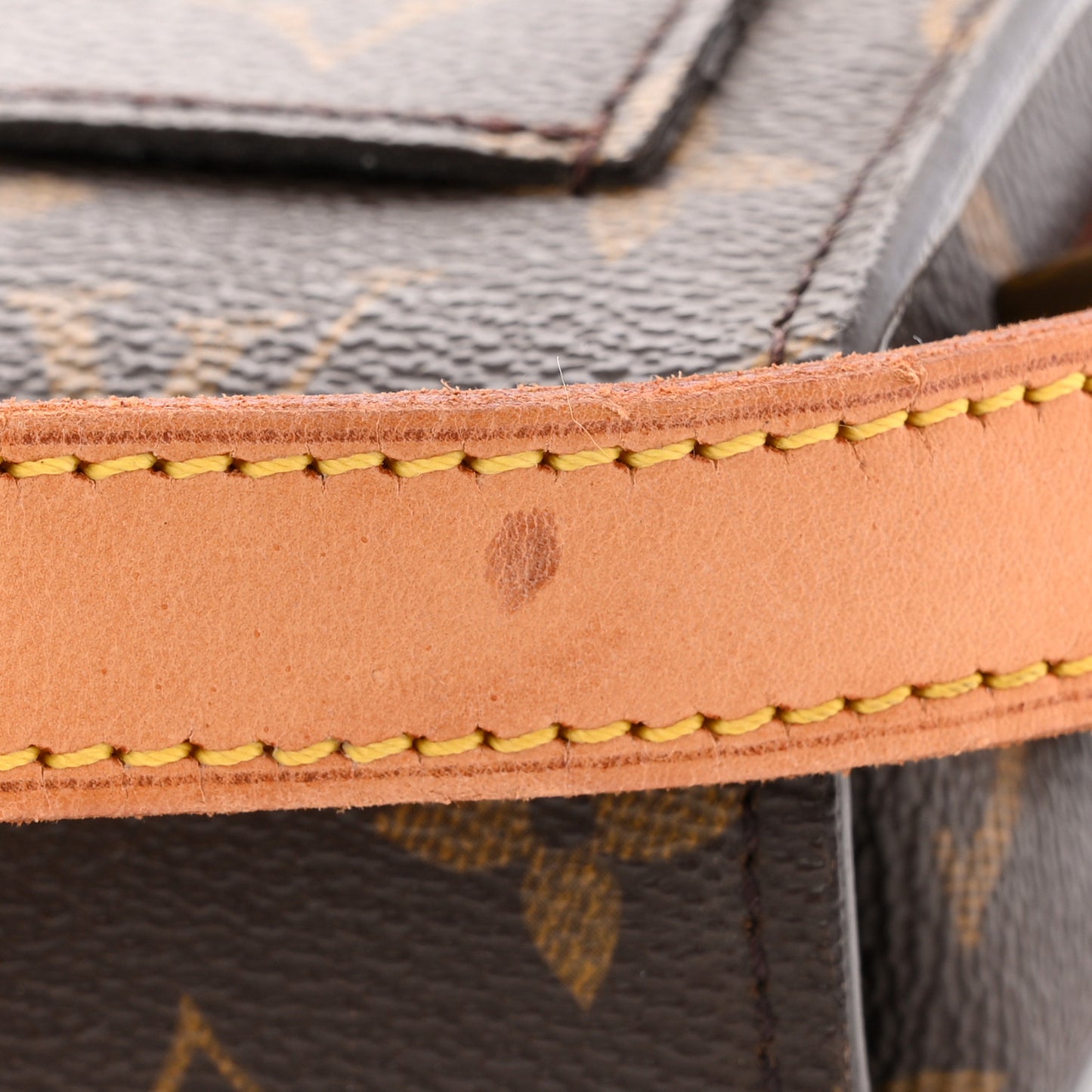 Monogram Saint Cloud GM