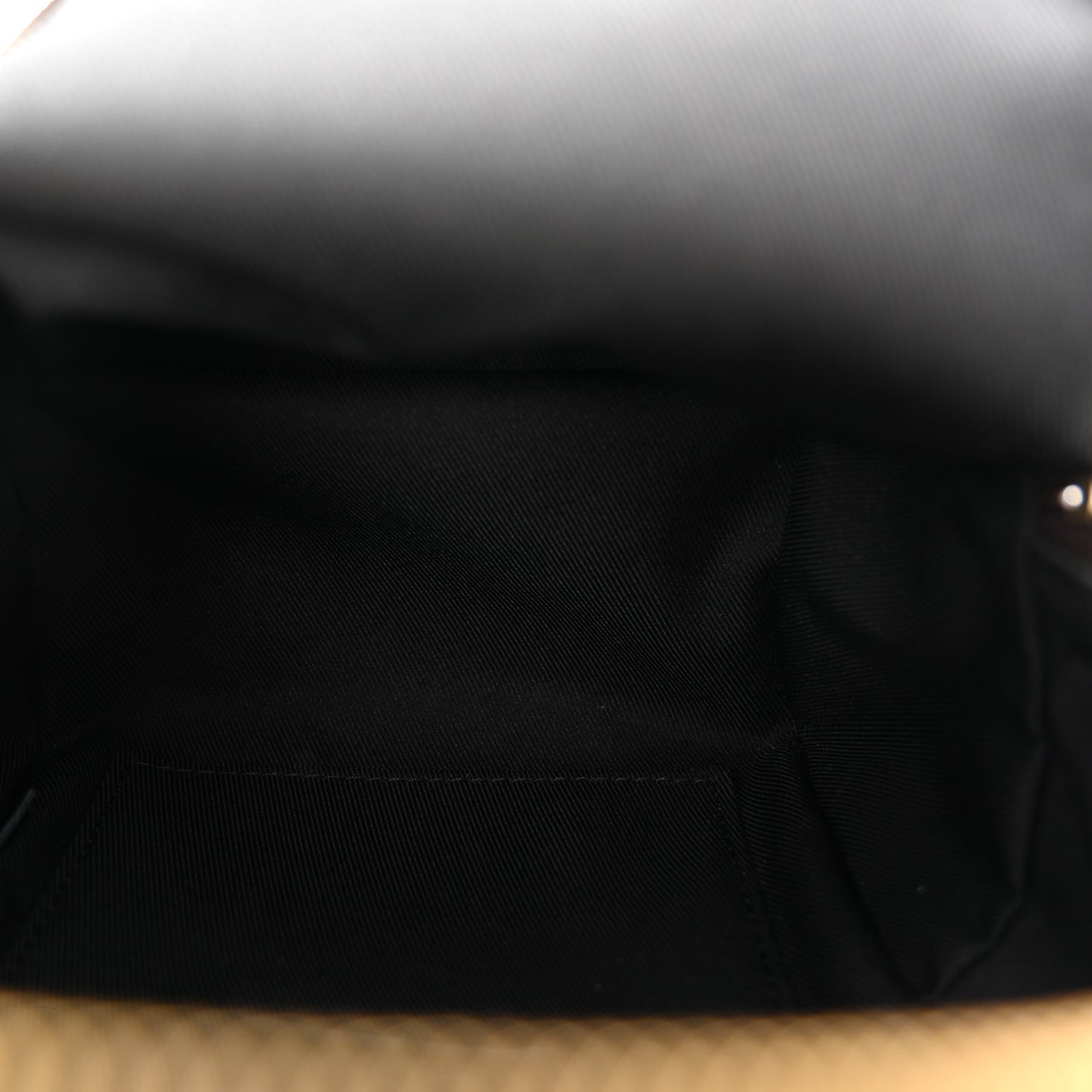 Monogram Palm Springs Backpack Mini