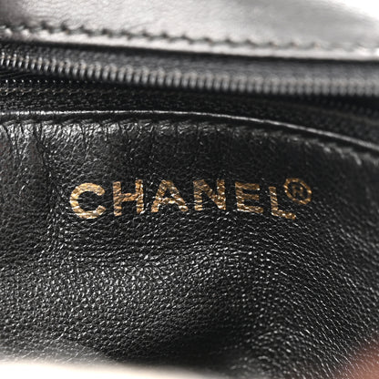 Chanel Mink Fur Medium Single Flap Multicolor 6 of 14