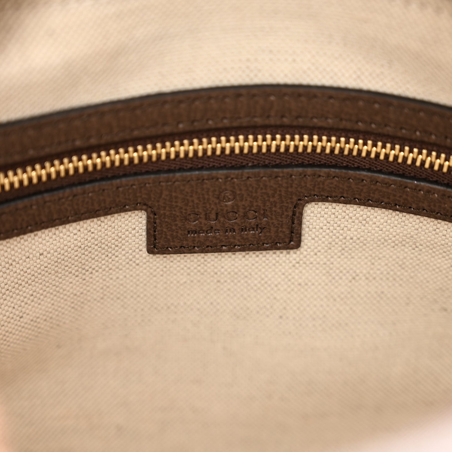 GG Supreme Monogram Textured Dollar Calfskin Web Medium Ophidia Top Handle Bowler Bag Beige Ebony New Acero