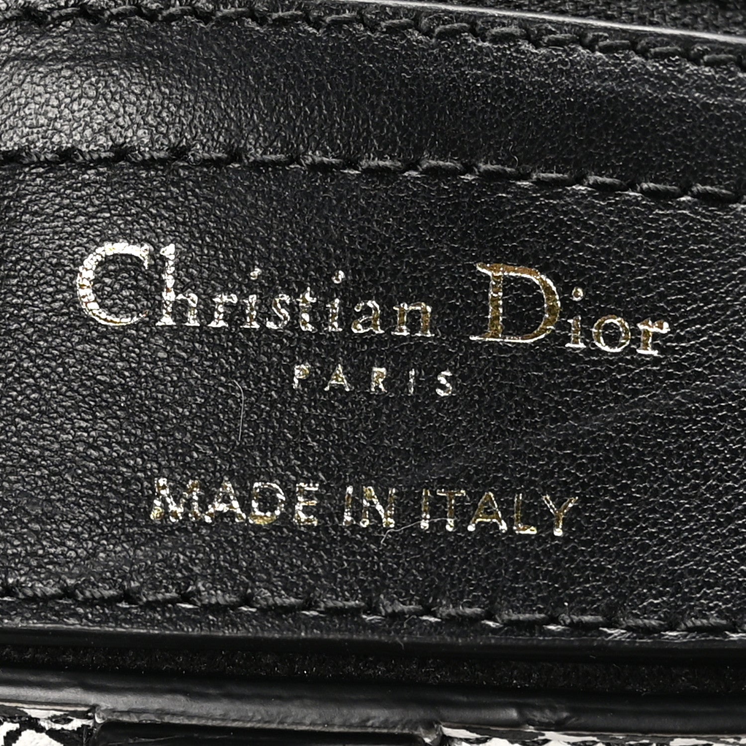 Christian Dior Calfskin Plan De Paris Printed Saddle Bag With Strap White Black 6 of 10