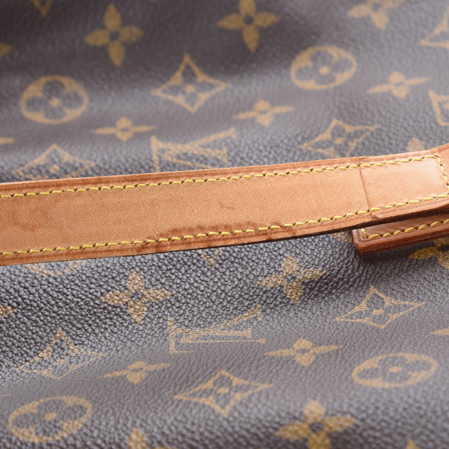 Monogram Cabas Mezzo