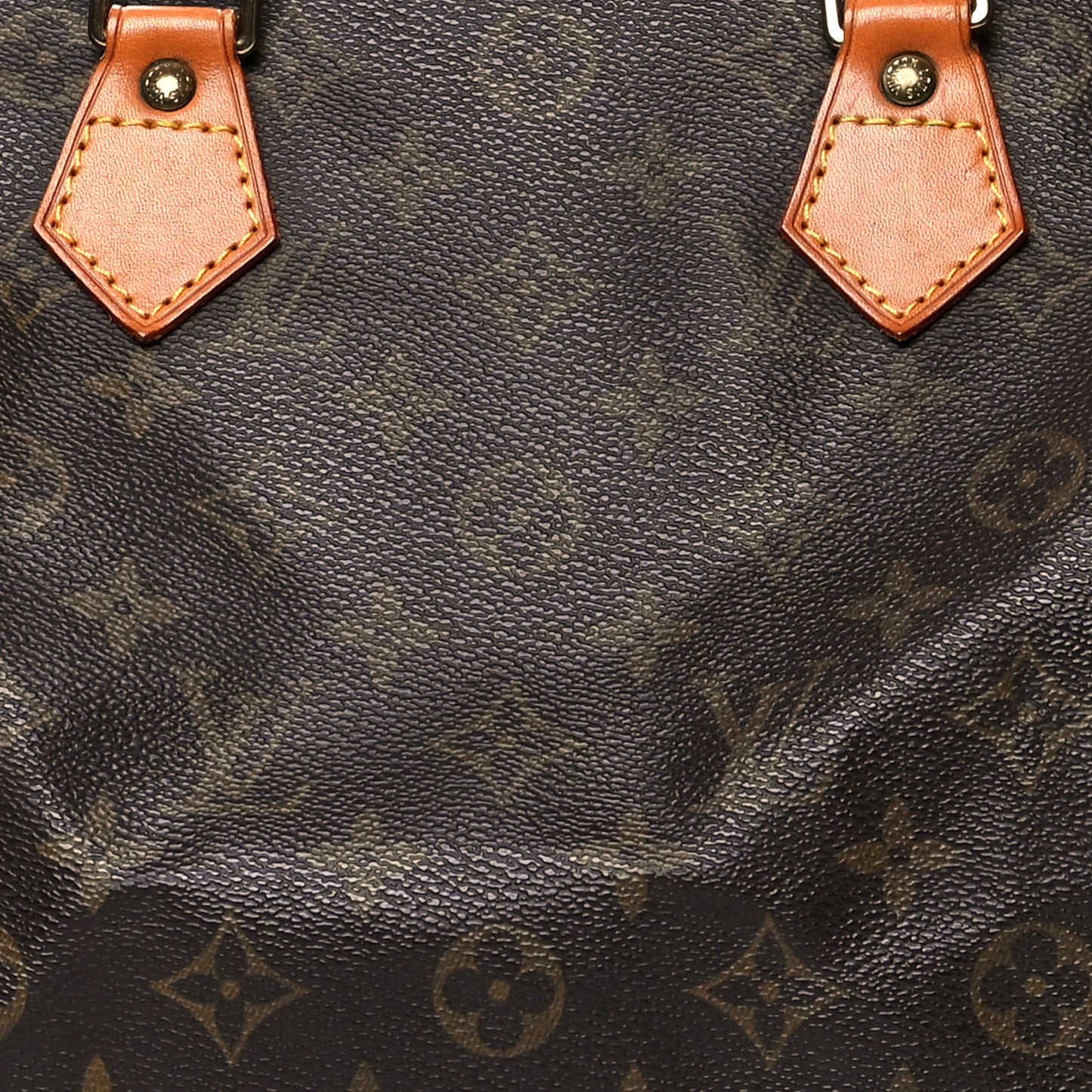 Monogram Speedy 30