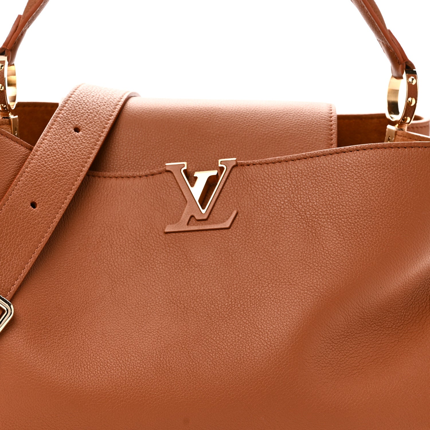 Louis Vuitton Smooth Grained Calfskin Capucines GM  Souple Cognac 7 of 9