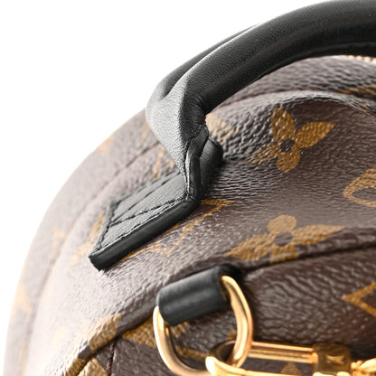 Louis Vuitton Monogram Palm Springs Backpack Mini 11 of 14