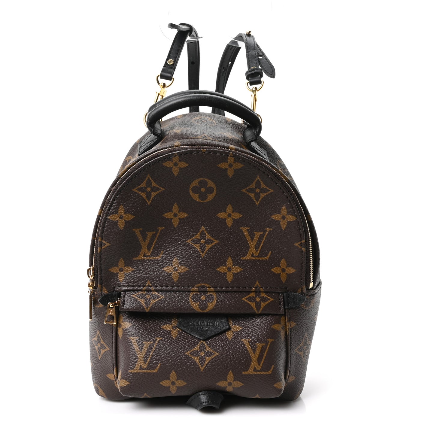 Monogram Palm Springs Backpack Mini