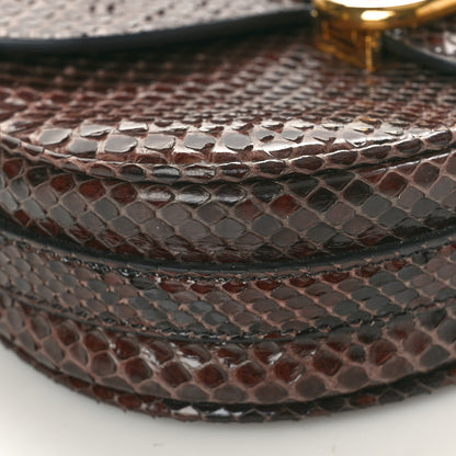 Celine Snakeskin Medium Chain Maillon Triomphe Brown 8 of 9