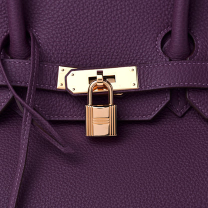 Hermes Togo Birkin 35 Anemone 9 of 9