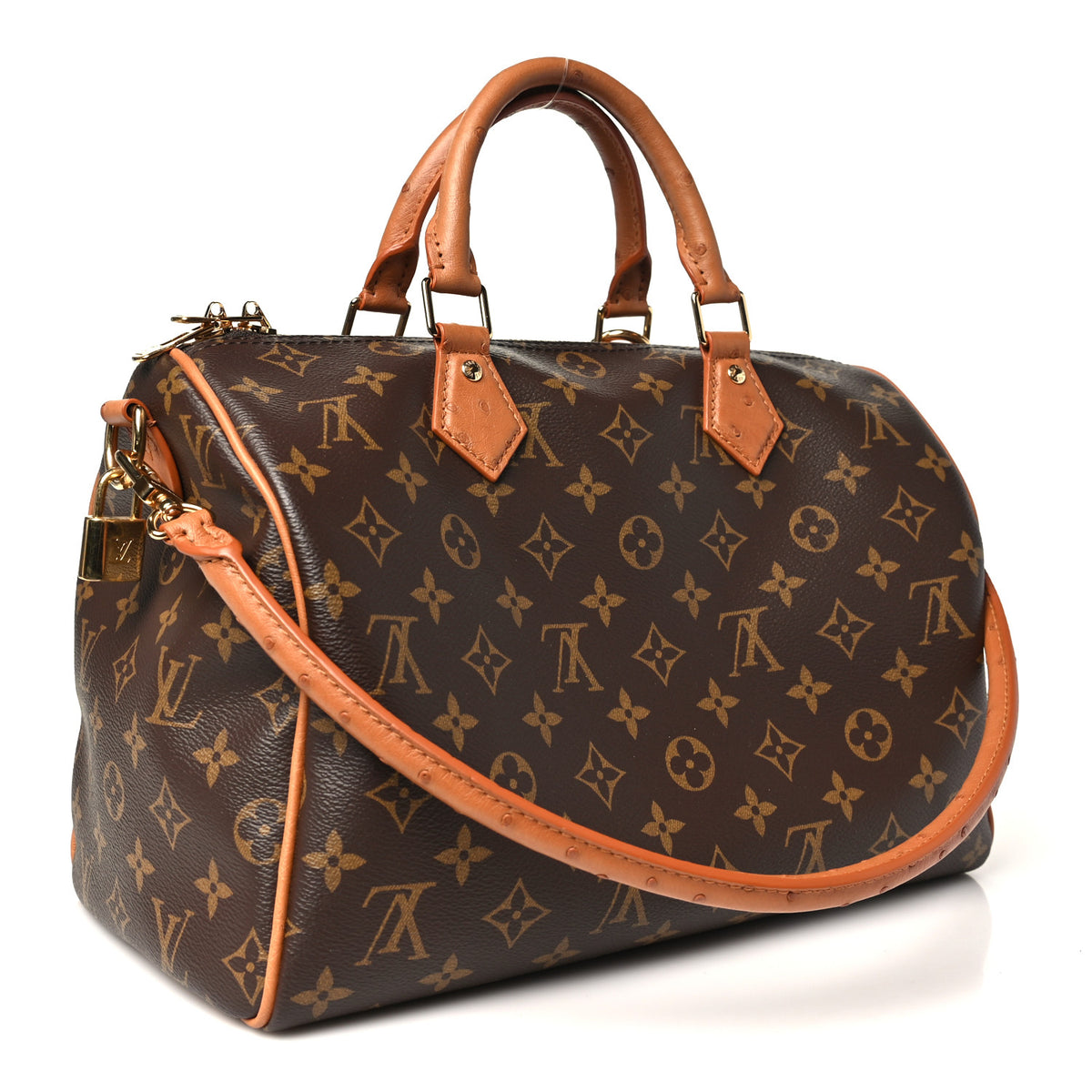 Monogram Speedy Soft 30 Boho