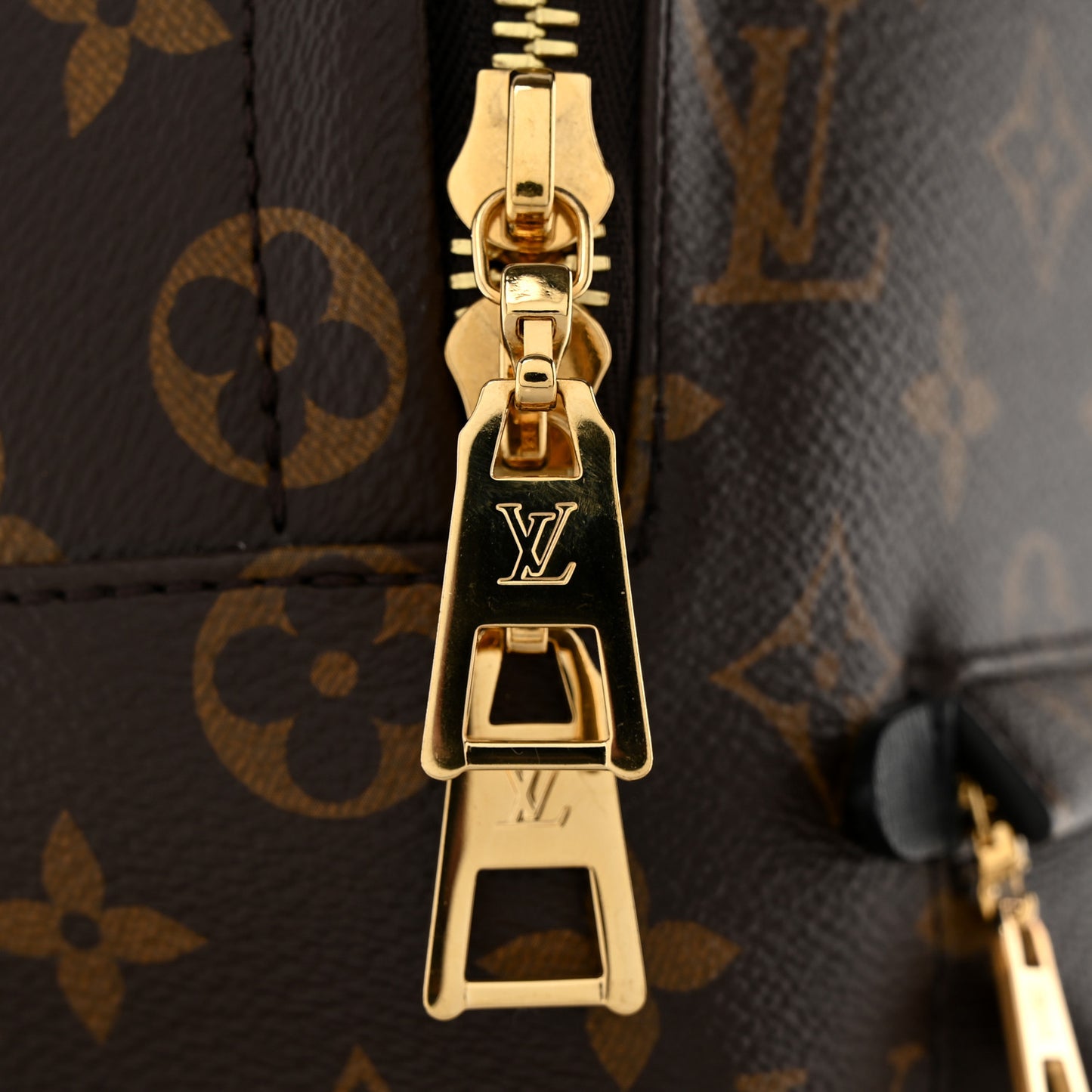 Monogram Palm Springs Backpack MM