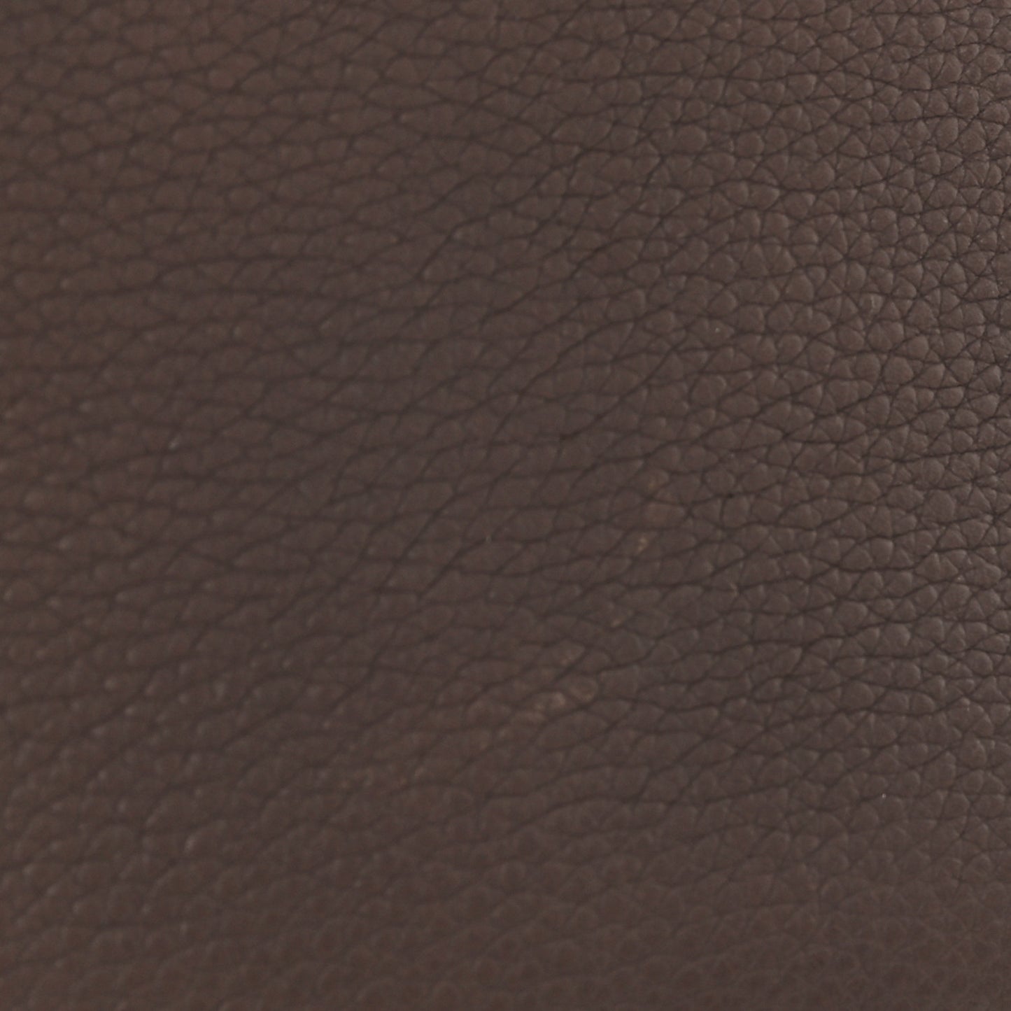 Grained Calfskin Mini Belt Bag Light Taupe