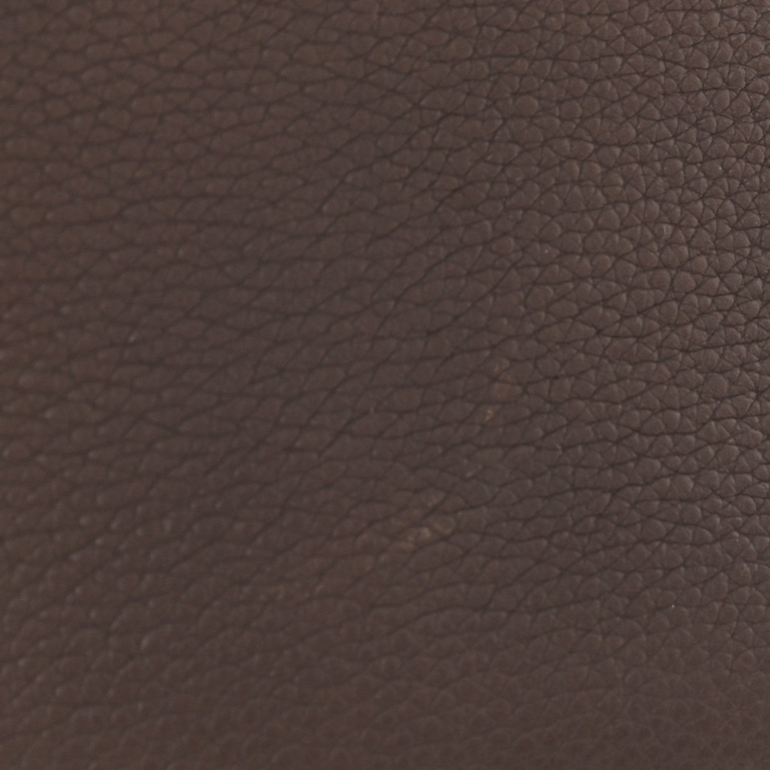 Celine Grained Calfskin Mini Belt Bag Light Taupe 13 of 14