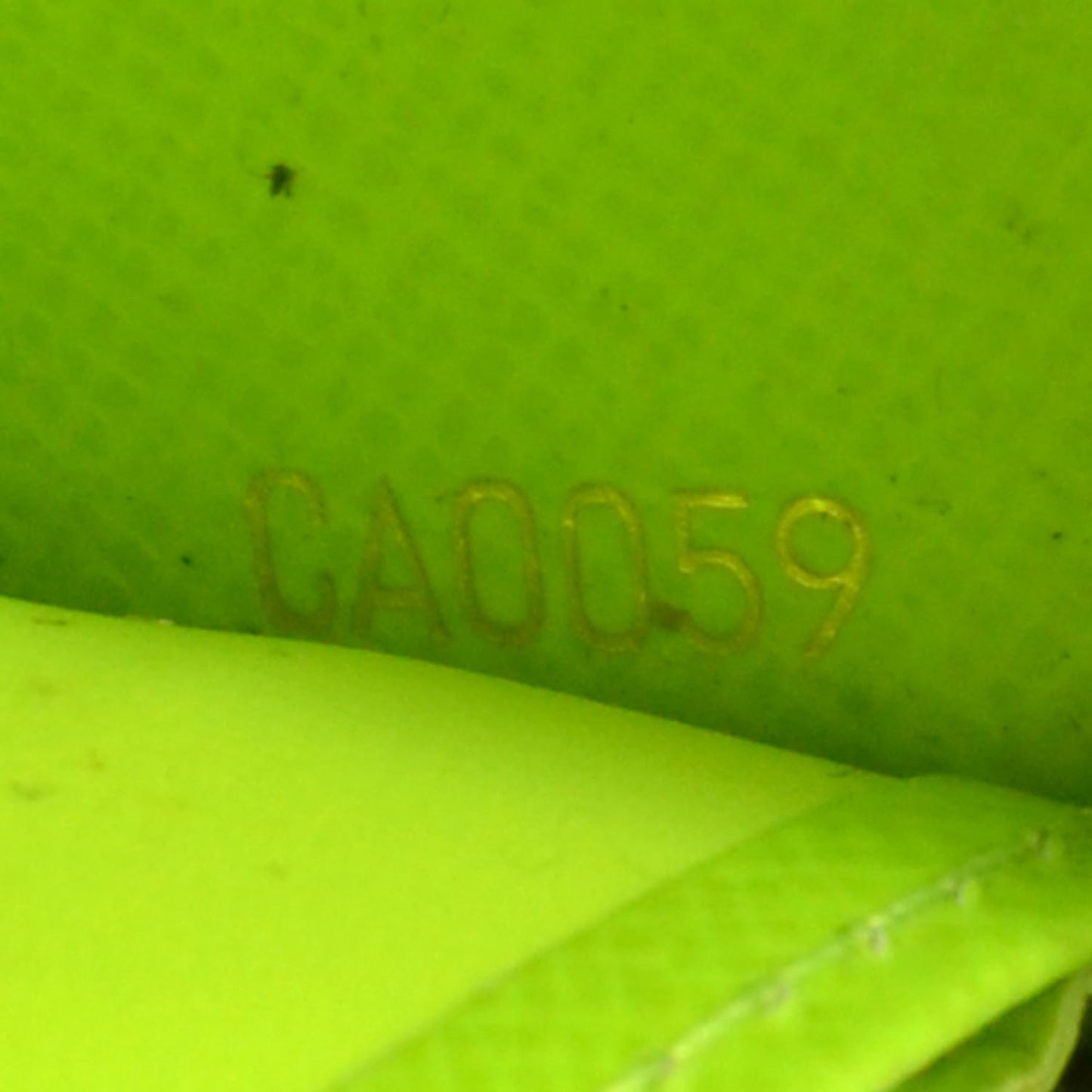 Monogram Graffiti Zippy Wallet Green