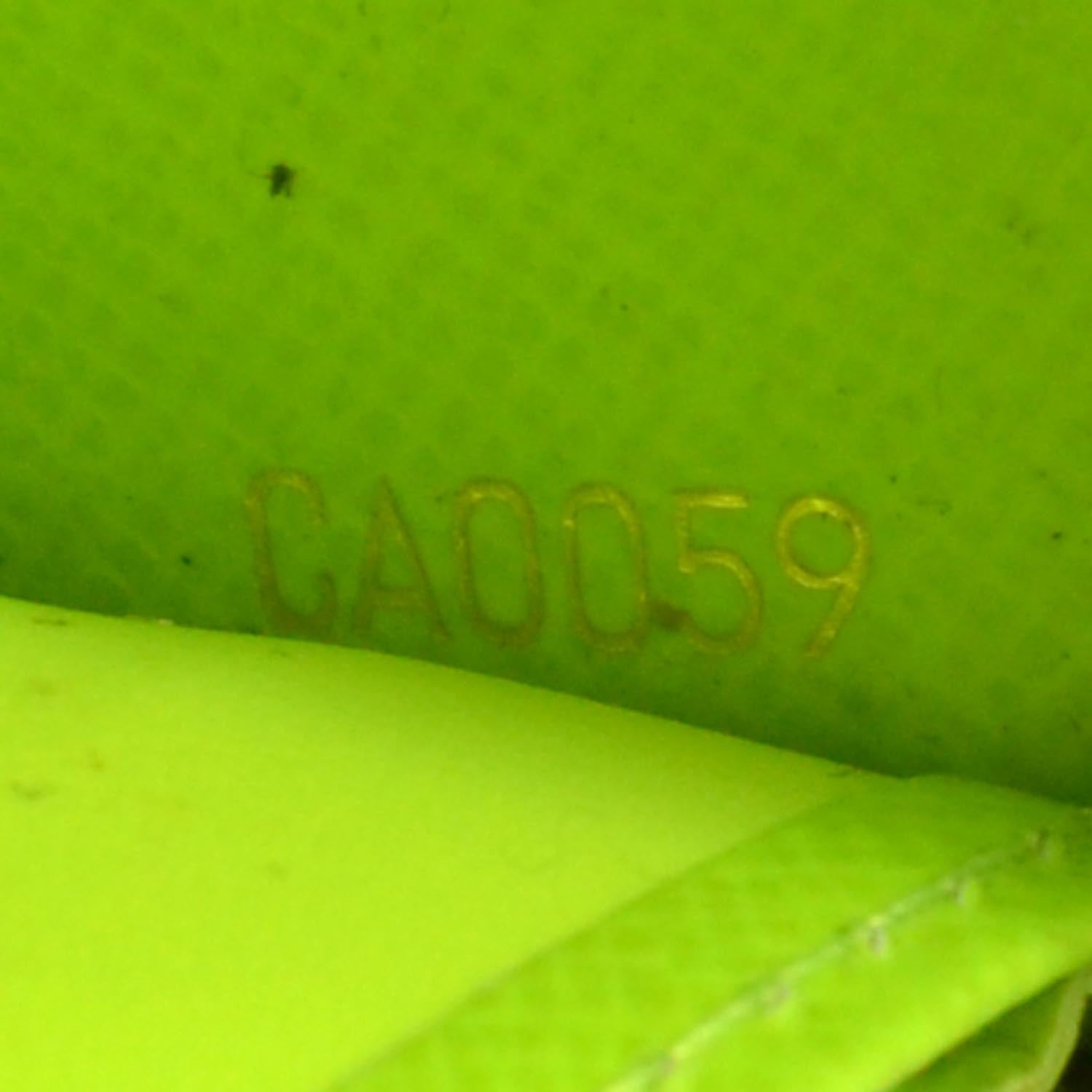 Louis Vuitton Monogram Graffiti Zippy Wallet Green 7 of 7