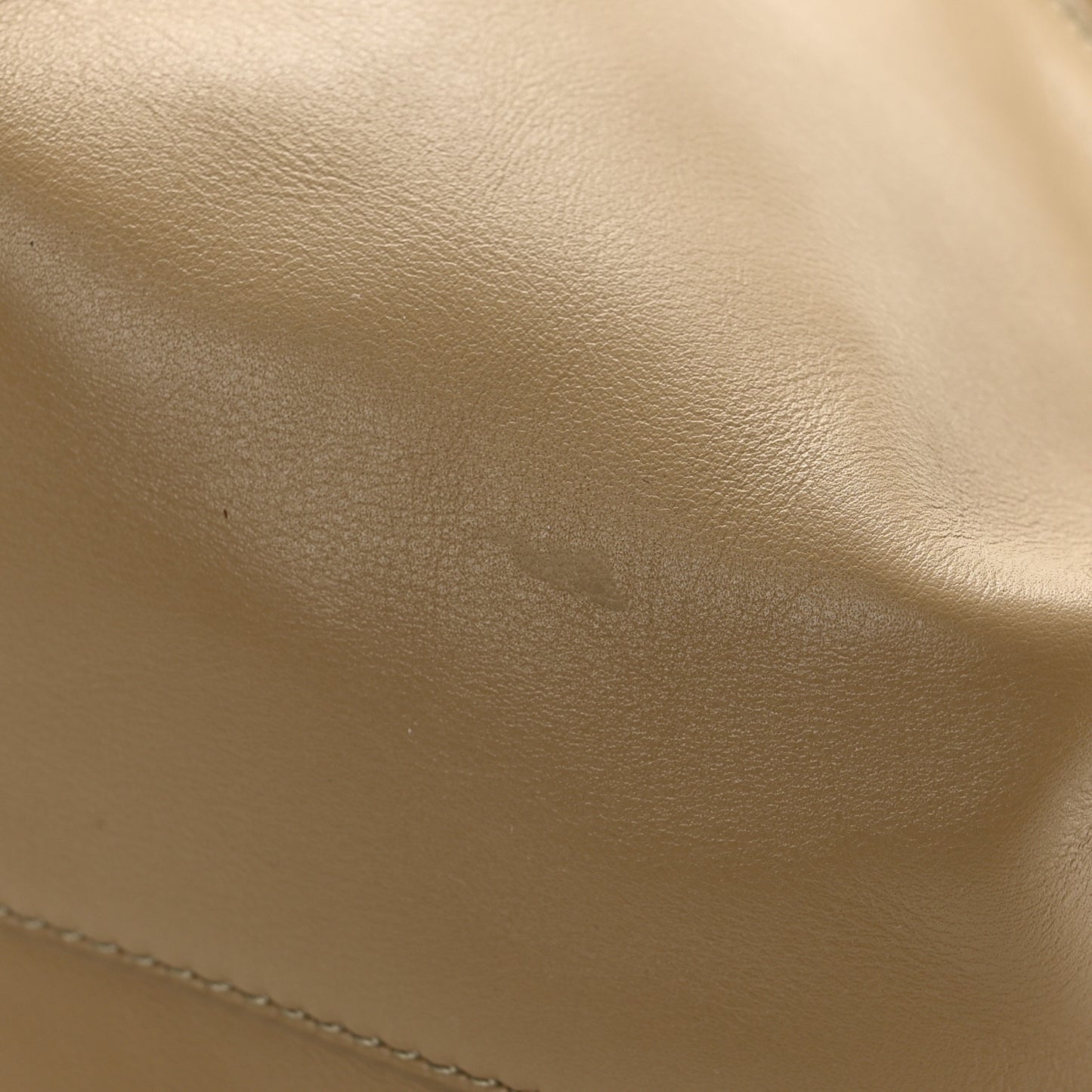 Shiny Nappa Calfskin Small Paseo Bag Clay Green