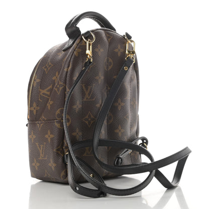 Louis Vuitton Monogram Palm Springs Backpack Mini 2 of 4